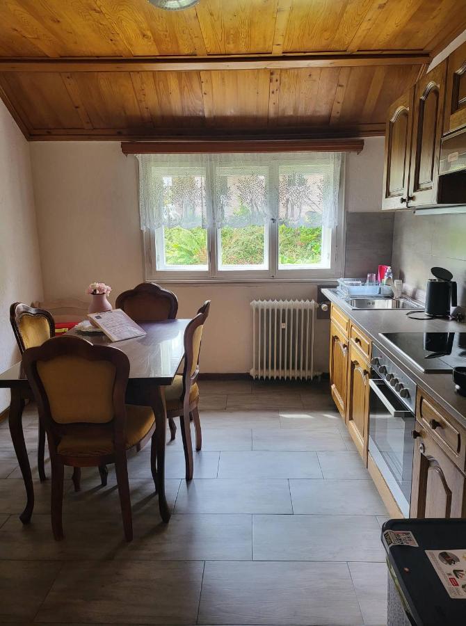 Ela Vital Ferienwohnung St. Blasien Exterior foto